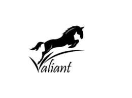 VALIANT trademark