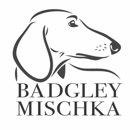 BADGLEY MISCHKA trademark