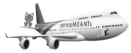 ORNAMEANTS MEANT TO TEACH LIFE PRINCIPLES trademark