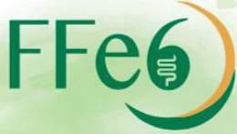 FFE6 trademark