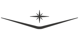 V trademark