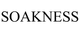 SOAKNESS trademark