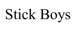 STICK BOYS trademark