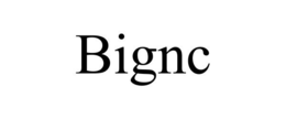 BIGNC trademark