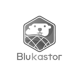 BLUKASTOR trademark