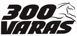 300 VARAS trademark