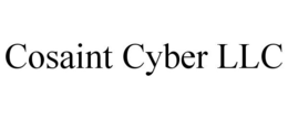 COSAINT CYBER LLC trademark