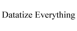 DATATIZE EVERYTHING trademark