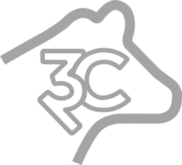 3C trademark