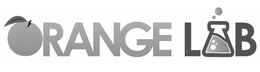 ORANGE LAB trademark