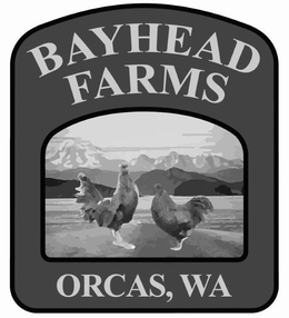 BAYHEAD FARMS ORCAS, WA trademark