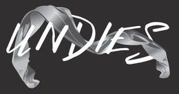 UNDIES trademark