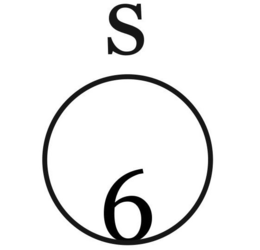 S 6 trademark