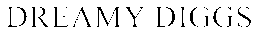 DREAMY DIGGS trademark