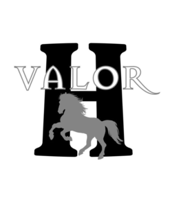 VALOR H trademark