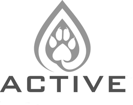 ACTIVE trademark