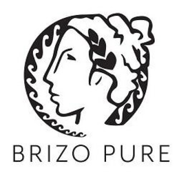 BRIZO PURE trademark