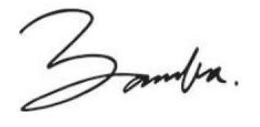 BAMBA. trademark