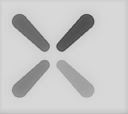 X trademark