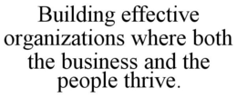 BUILDING EFFECTIVE ORGANIZATIONS WHERE BOTH THE BUSINESS AND THE PEOPLE THRIVE. trademark