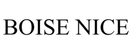BOISE NICE trademark