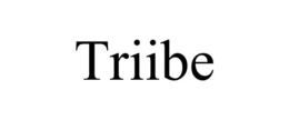 TRIIBE trademark