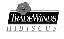 TRADEWINDS HIBISCUS trademark