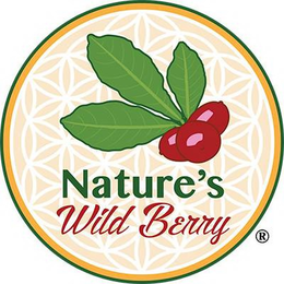 NATURE'S WILD BERRY trademark