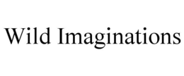 WILD IMAGINATIONS trademark
