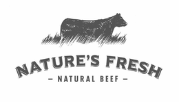 NATURE'S FRESH NATURAL BEEF trademark