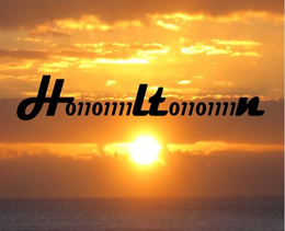 H01101111LT01101111N trademark