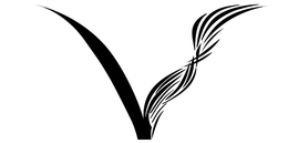 V trademark
