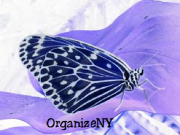 ORGANIZENY trademark
