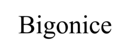 BIGONICE trademark