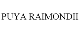 PUYA RAIMONDII trademark