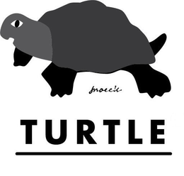 TURTLE trademark