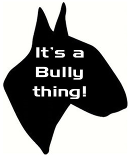 IT'S A BULLY THING! trademark