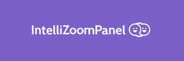 INTELLIZOOMPANEL trademark