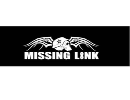 MISSING LINK trademark