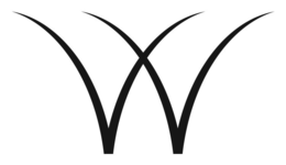 W trademark