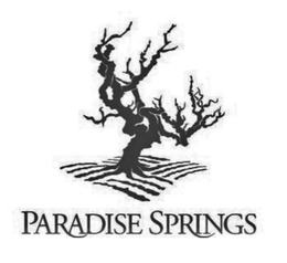 PARADISE SPRINGS trademark