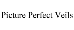 PICTURE PERFECT VEILS trademark