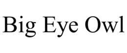 BIG EYE OWL trademark