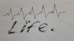 LIFE. trademark