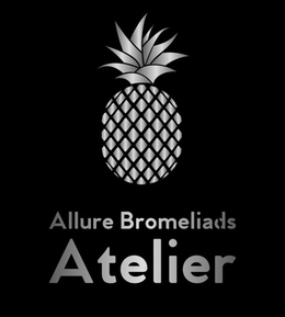 ALLURE BROMELIADS ATELIER trademark