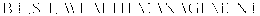 B.E.S.T. WEALTH MANAGEMENT trademark