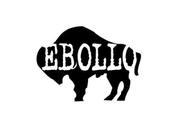 EBOLLO trademark