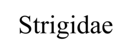 STRIGIDAE trademark