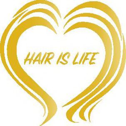 HAIR IS LIFE trademark