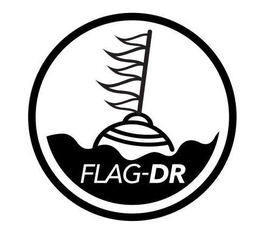 FLAG-DR trademark
